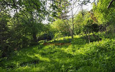 Exkluzívne Predáme pozemok na Kopaniciach