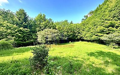 Pozemok na samote v obci Vyhne